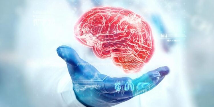 Scientists Discover Early Alzheimer’s Warning Sign Hiding in Routine Brain Scans