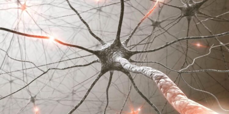 Scientists Discover How Damaged Neurons Sometimes Defy Degeneration