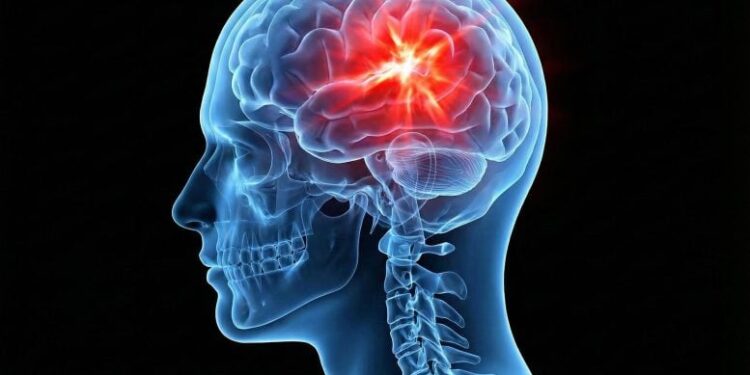 Researchers Discover Compound That Could Revolutionize Traumatic Brain Injury Treatment