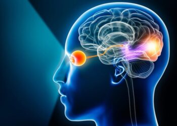 The Brain’s Hidden Repair Trick Helps Vision Recover After Trauma