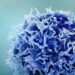 Single Injection Transforms the Immune System Into a Cancer-Killing Machine