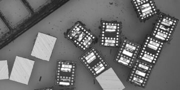 These Robots Are the Size of Single Cells and Cost Just a Penny Apiece