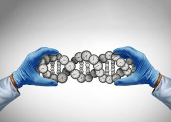 Scientists Uncover a Hidden Switch That Controls Longevity