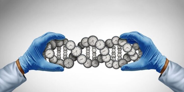 Scientists Uncover a Hidden Switch That Controls Longevity