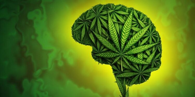 A Hidden Stress Signal Makes Rats Crave Cannabis