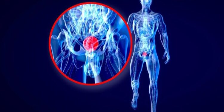 Stanford Study Reveals Colorblindness May Hide a Deadly Cancer Warning