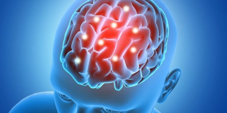 Scientists Uncover How Aging Brains Turn a Vital Amino Acid Toxic