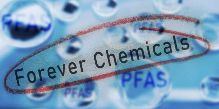 Common Environmental Chemical May Sabotage Early Pregnancy, New Study Warns