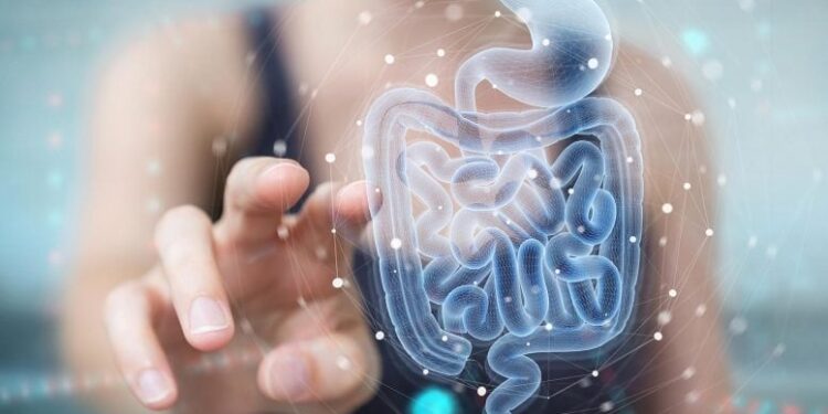 This Immune Therapy Repaired Gut Damage for a Full Year