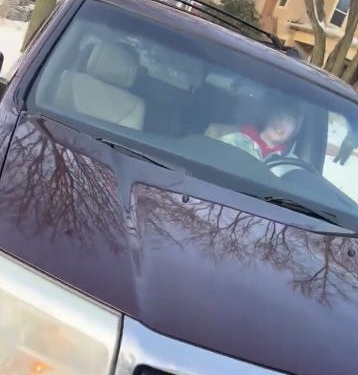 Leaked ICE Agent Video Of Renee Good Murder Backfires On The Trump Administration