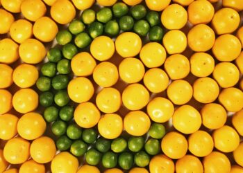 Vitamin C may protect fertility against harmful chemical