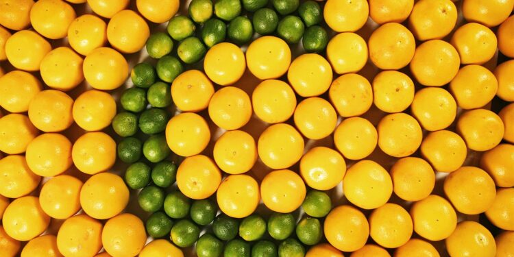 Vitamin C may protect fertility against harmful chemical