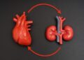 How Chronic Kidney Disease Quietly Poisons the Heart