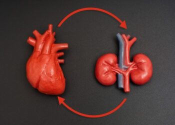 How Chronic Kidney Disease Quietly Poisons the Heart