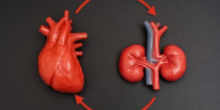 How Chronic Kidney Disease Quietly Poisons the Heart