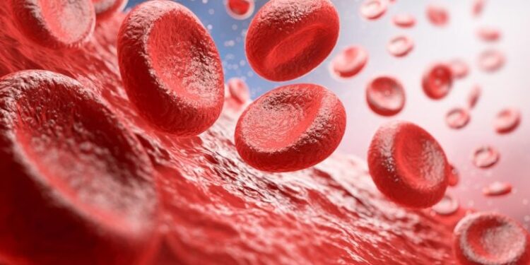 Scientists Reverse Blood Stem Cell Aging by Rewiring the Cell’s Recycling System