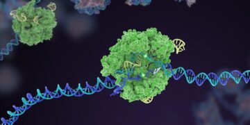 Souped-Up CRISPR Gene Editor Replicates and Spreads Like a Virus