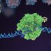 Souped-Up CRISPR Gene Editor Replicates and Spreads Like a Virus