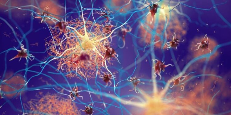 Scientists Uncover the Hidden Mechanism Behind FDA-Approved Alzheimer’s Drug