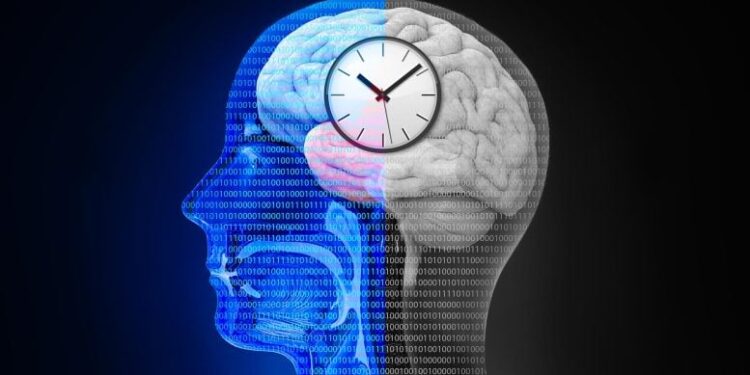 This AI Tool Can Tell If Your Brain Is Aging Too Fast