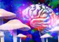 The Brain Benefits of Magic Mushrooms Without the Psychedelic Trip