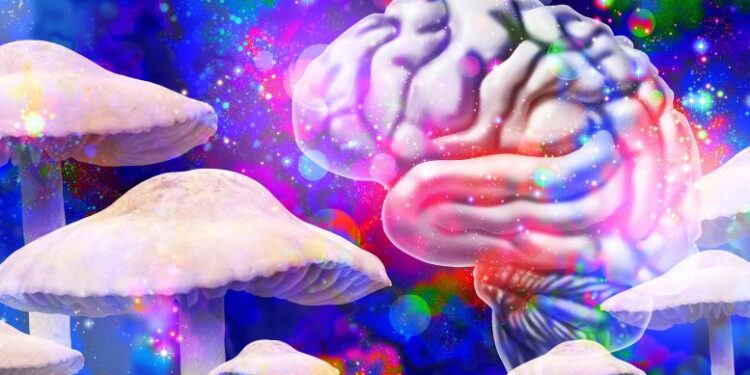 The Brain Benefits of Magic Mushrooms Without the Psychedelic Trip