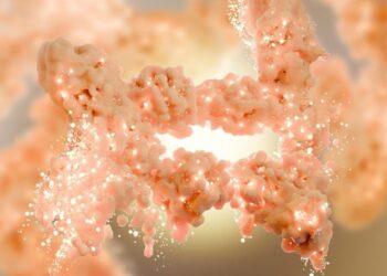 Scientists Discover Protein That Turns Brown Fat Into a Calorie-Burning Machine