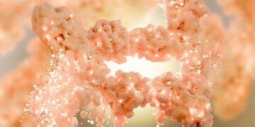 Scientists Discover Protein That Turns Brown Fat Into a Calorie-Burning Machine