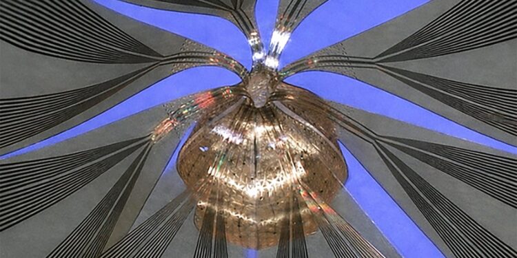 New Device Detects Brain Waves in Mini Brains Mimicking Early Human Development