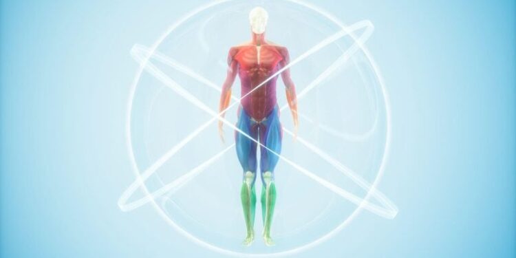 Longevity Isn’t Equal: Why Life-Extending Treatments May Be a “Biological Lottery”