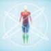 Longevity Isn’t Equal: Why Life-Extending Treatments May Be a “Biological Lottery”