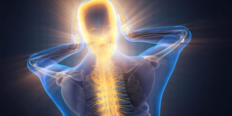 Stanford Scientists Discover Hidden Brain Circuit That Fuels Chronic Pain