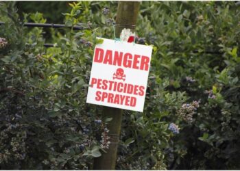 Beyond “Safe Levels”: Study Challenges What We Know About Pesticides and Cancer
