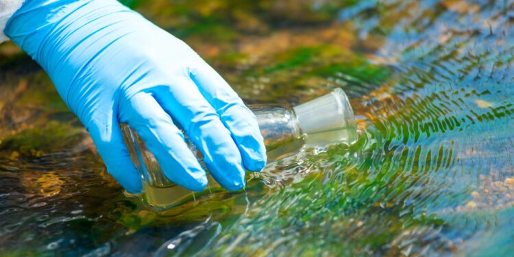 Hidden Parasite Found in Popular Portuguese Lake Raises Health Concerns