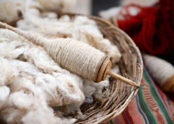 Scientists Turn Wool Into Bone-Healing Material in Medical Breakthrough