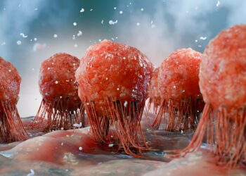 Scientists Discover a Completely Unexpected Way T Cells Kill Cancer
