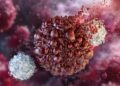 Scientists Stop Pancreatic Cancer Before It Starts in Landmark Preclinical Study