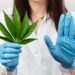 Early Cannabis Use May Stall Key Brain Skills in Teens