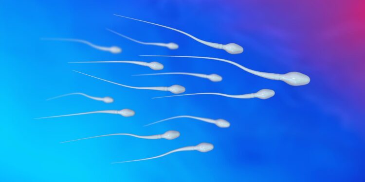 Scientists Find Way To Turn Sperm Production Off and Back On