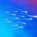 Scientists Find Way To Turn Sperm Production Off and Back On
