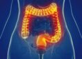 Scientists Flip Immune System “Switch,” Uncover Surprising Path To Stop Gut Inflammation