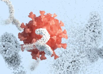 Scientists Finally See How Antibodies Really Attack Viruses