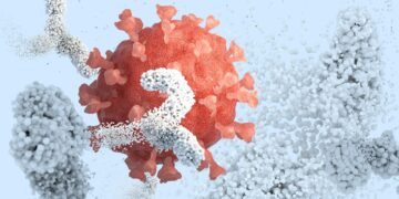 Scientists Finally See How Antibodies Really Attack Viruses