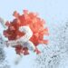 Scientists Finally See How Antibodies Really Attack Viruses