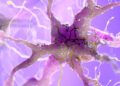 Cambridge Scientists Just Reversed a Form of Nerve Damage Once Thought Permanent