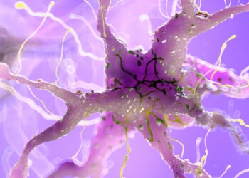 Cambridge Scientists Just Reversed a Form of Nerve Damage Once Thought Permanent