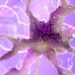 Cambridge Scientists Just Reversed a Form of Nerve Damage Once Thought Permanent