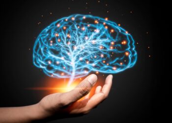 Scientists Say We’ve Been Wrong About the Aging Brain