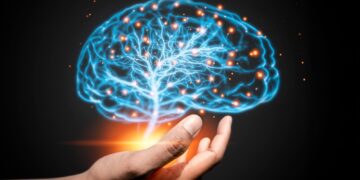 Scientists Say We’ve Been Wrong About the Aging Brain