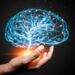 Scientists Say We’ve Been Wrong About the Aging Brain